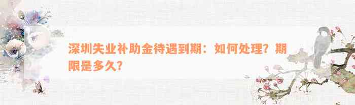 深圳失业补助金待遇到期：如何处理？期限是多久？