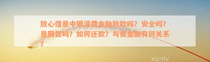 放心借是中银消费金融放款吗？安全吗？是网贷吗？如何还款？与费金融有何关系？