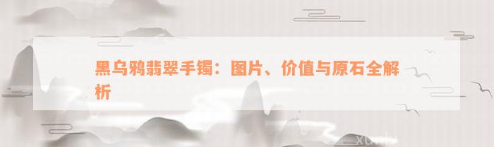 黑乌鸦翡翠手镯：图片、价值与原石全解析