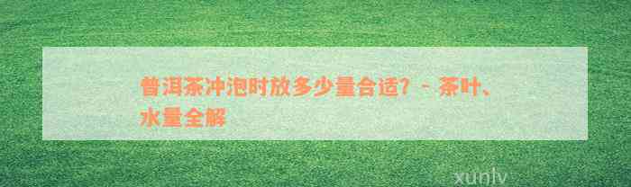 普洱茶冲泡时放多少量合适？- 茶叶、水量全解