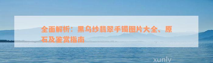 全面解析：黑乌纱翡翠手镯图片大全、原石及鉴赏指南