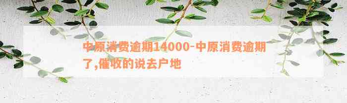 中原消费逾期14000-中原消费逾期了,催收的说去户地