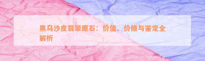 黑乌沙皮翡翠原石：价值、价格与鉴定全解析