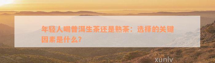 年轻人喝普洱生茶还是熟茶：选择的关键因素是什么？