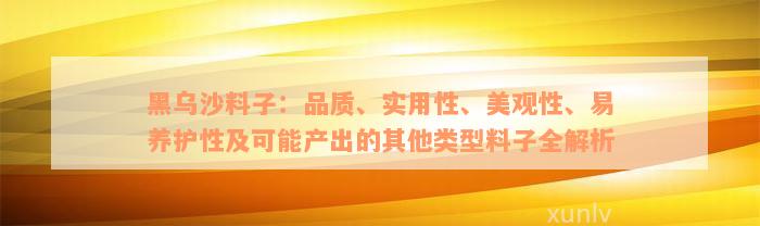 黑乌沙料子：品质、实用性、美观性、易养护性及可能产出的其他类型料子全解析