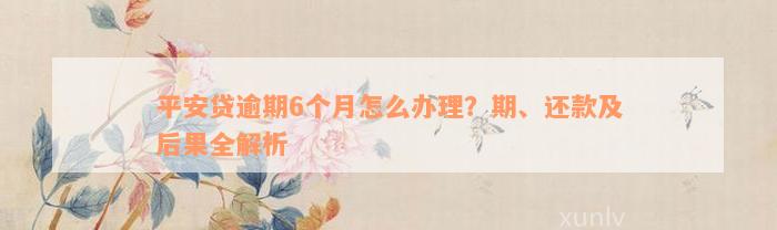 平安贷逾期6个月怎么办理？期、还款及后果全解析