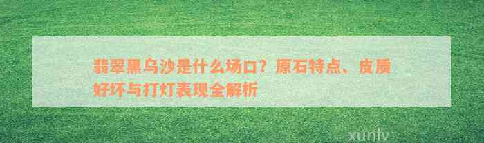 翡翠黑乌沙是什么场口？原石特点、皮质好坏与打灯表现全解析