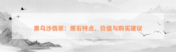 黑乌沙翡翠：原石特点、价值与购买建议