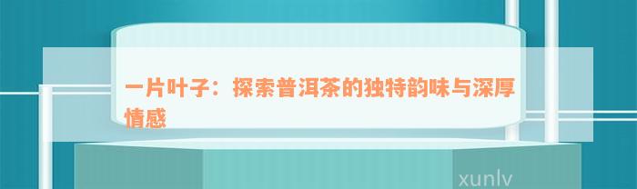 一片叶子：探索普洱茶的独特韵味与深厚情感