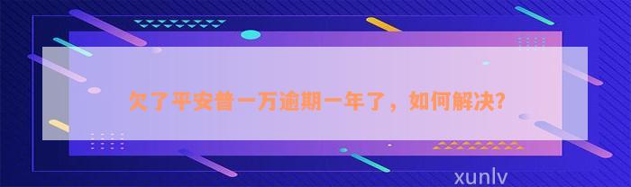 欠了平安普一万逾期一年了，如何解决？