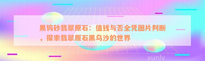 黑钨砂翡翠原石：值钱与否全凭图片判断，探索翡翠原石黑乌沙的世界