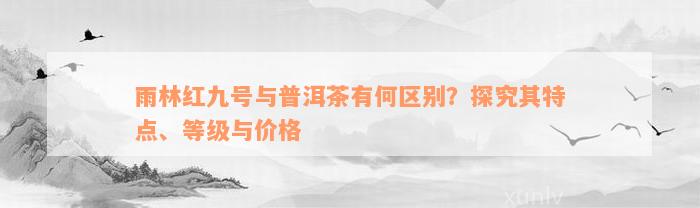 雨林红九号与普洱茶有何区别？探究其特点、等级与价格