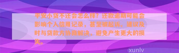 平安小贷不还会怎么样？还款逾期可能会影响个人信用记录，甚至被起诉。建议及时与贷款方协商解决，避免产生更大的损失。