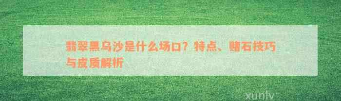 翡翠黑乌沙是什么场口？特点、赌石技巧与皮质解析