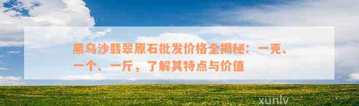 黑乌沙翡翠原石批发价格全揭秘：一克、一个、一斤，了解其特点与价值