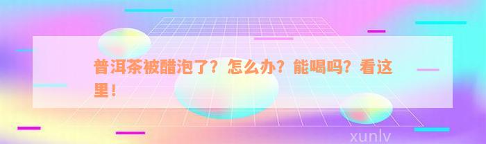 普洱茶被醋泡了？怎么办？能喝吗？看这里！