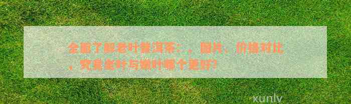 全面了解老叶普洱茶：、图片、价格对比，究竟老叶与嫩叶哪个更好？