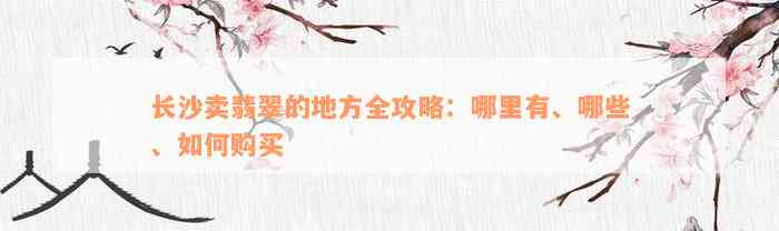 长沙卖翡翠的地方全攻略：哪里有、哪些、如何购买