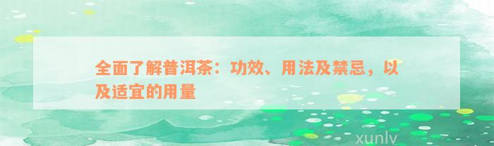 全面了解普洱茶：功效、用法及禁忌，以及适宜的用量