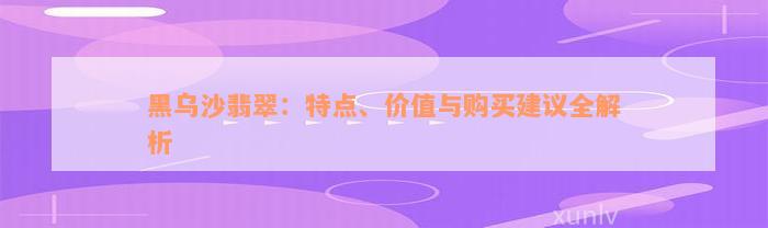 黑乌沙翡翠：特点、价值与购买建议全解析