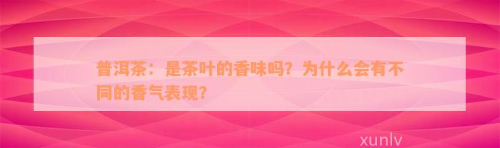 普洱茶：是茶叶的香味吗？为什么会有不同的香气表现？