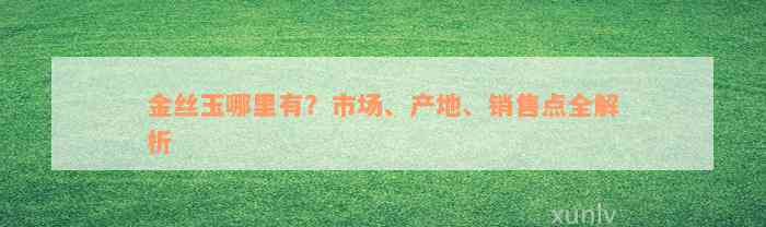 金丝玉哪里有？市场、产地、销售点全解析