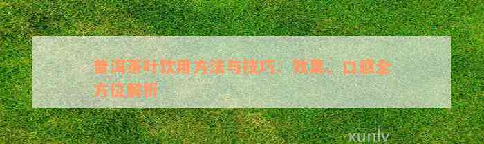 普洱茶叶饮用方法与技巧：效果、口感全方位解析