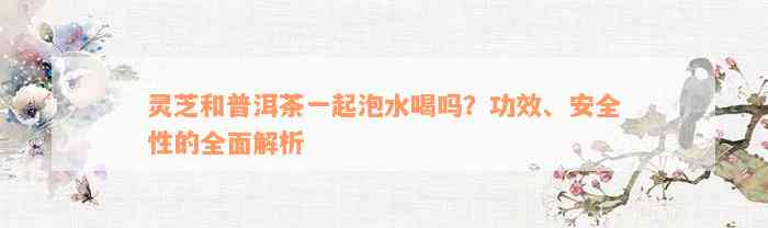 灵芝和普洱茶一起泡水喝吗？功效、安全性的全面解析