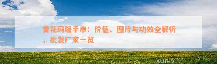 青花玛瑙手串：价值、图片与功效全解析，批发厂家一览