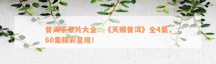 普洱茶录片大全：《天赐普洱》全4集，60集精彩呈现！