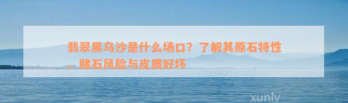 翡翠黑乌沙是什么场口？了解其原石特性、赌石风险与皮质好坏