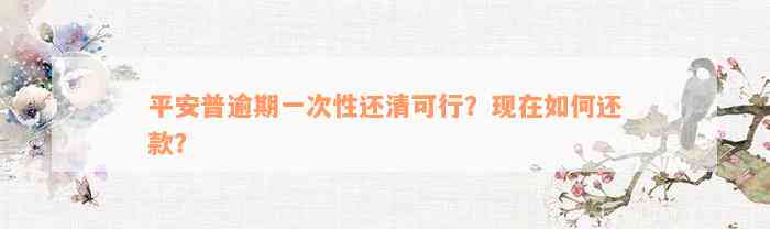 平安普逾期一次性还清可行？现在如何还款？