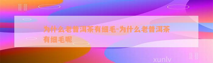 为什么老普洱茶有细毛-为什么老普洱茶有细毛呢