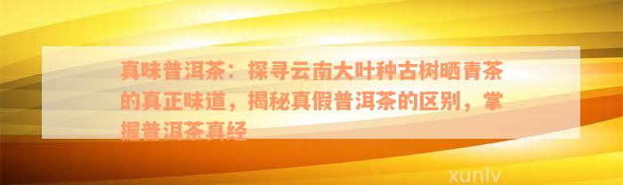 真味普洱茶：探寻云南大叶种古树晒青茶的真正味道，揭秘真假普洱茶的区别，掌握普洱茶真经