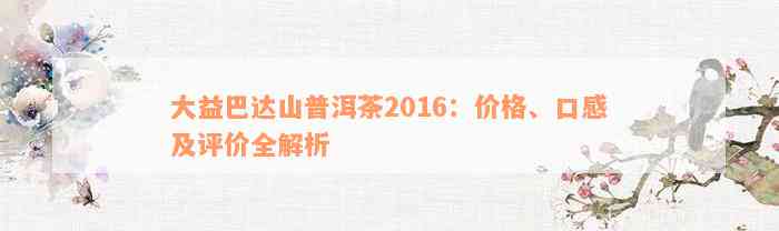 大益巴达山普洱茶2016：价格、口感及评价全解析