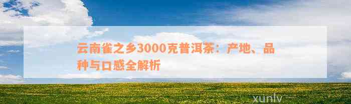 云南雀之乡3000克普洱茶：产地、品种与口感全解析