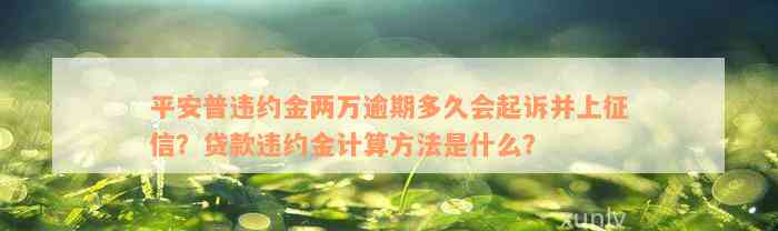 平安普违约金两万逾期多久会起诉并上征信？贷款违约金计算方法是什么？