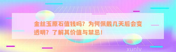 金丝玉原石值钱吗？为何佩戴几天后会变透明？了解其价值与禁忌！