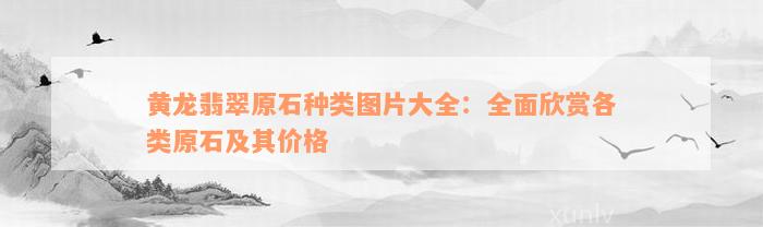 黄龙翡翠原石种类图片大全：全面欣赏各类原石及其价格