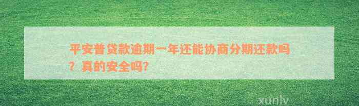 平安普贷款逾期一年还能协商分期还款吗？真的安全吗？