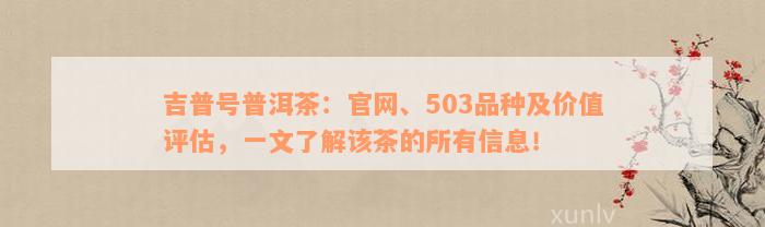 吉普号普洱茶：官网、503品种及价值评估，一文了解该茶的所有信息！