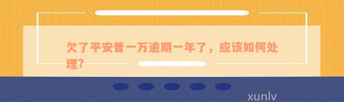 欠了平安普一万逾期一年了，应该如何处理?