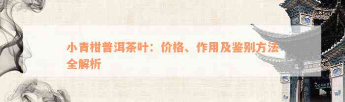 小青柑普洱茶叶：价格、作用及鉴别方法全解析