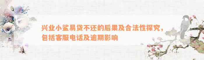 兴业小鲨易贷不还的后果及合法性探究，包括客服电话及逾期影响