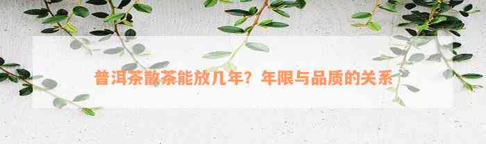 普洱茶散茶能放几年？年限与品质的关系