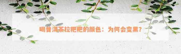 喝普洱茶拉粑粑的颜色：为何会变黑？