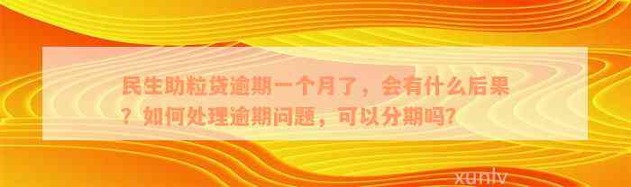 民生助粒贷逾期一个月了，会有什么后果？如何处理逾期问题，可以分期吗？