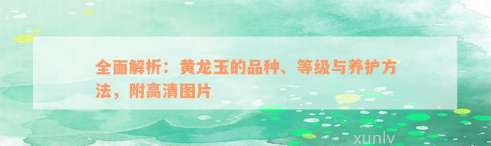 全面解析：黄龙玉的品种、等级与养护方法，附高清图片