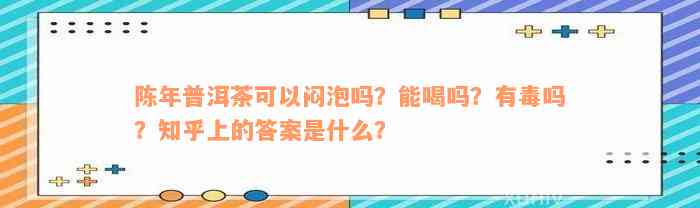 陈年普洱茶可以闷泡吗？能喝吗？有毒吗？知乎上的答案是什么？