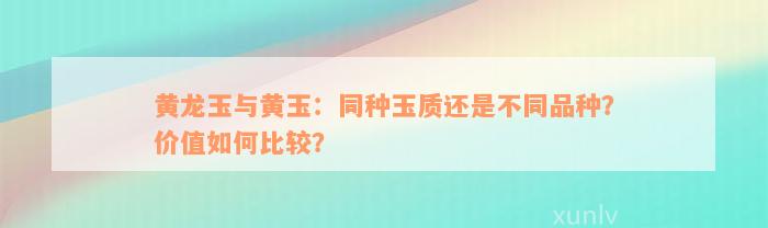 黄龙玉与黄玉：同种玉质还是不同品种？价值如何比较？